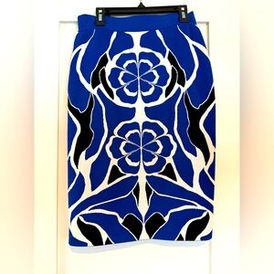 Stunning Alexander McQueen Skirt